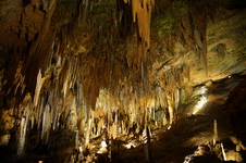 Enlarge photo 72