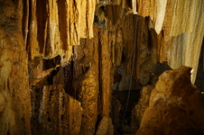 Enlarge photo 75