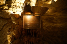 Enlarge photo 78