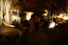 Enlarge photo 79