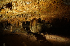 Enlarge photo 81