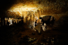 Enlarge photo 82