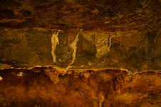 Enlarge photo 83