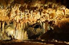 Enlarge photo 84