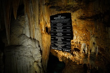 Enlarge photo 87