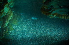 Enlarge photo 88
