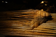 Enlarge photo 90