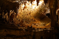 Enlarge photo 91