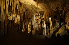 Enlarge photo 92