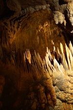 Enlarge photo 93