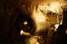 Enlarge photo 95