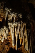 Enlarge photo 97