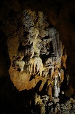 Enlarge photo 98