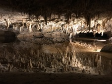Enlarge photo 28