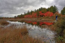 Enlarge photo 22