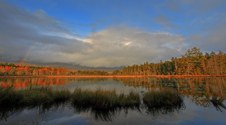 Enlarge photo 28