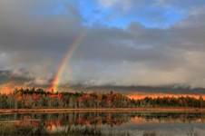 Enlarge photo 27