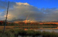 Enlarge photo 26
