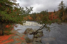 Enlarge photo 24