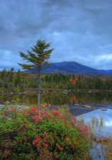Enlarge photo 20
