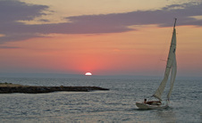 Enlarge photo 31