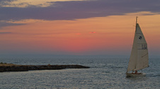 Enlarge photo 30