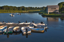 Enlarge photo 47