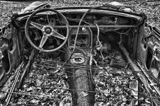 Enlarge photo 12