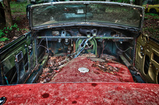 Enlarge photo 8