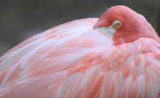 National Zoo