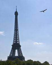 Enlarge photo 20