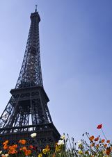 Enlarge photo 36