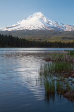 Enlarge photo 45