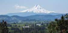 Enlarge photo 37