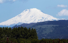 Enlarge photo 35