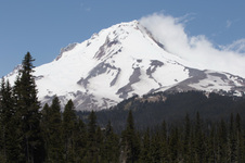 Enlarge photo 34