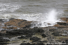 Enlarge photo 19