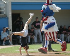 Potomac Nationals