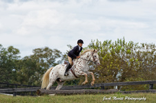 Sandstone Horse Show