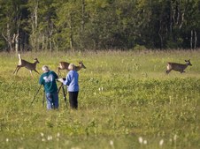 Enlarge photo 26