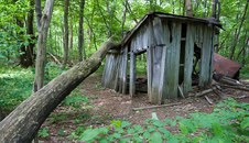 Enlarge photo 19