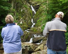 Enlarge photo 5