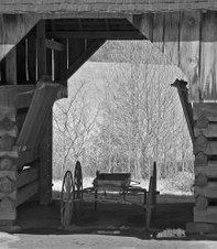 Enlarge photo 45