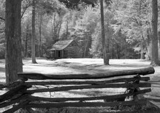 Enlarge photo 48