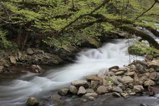 Enlarge photo 28