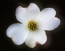 Enlarge photo 38