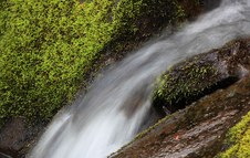 Enlarge photo 23