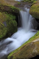 Enlarge photo 25