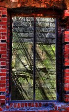 Enlarge photo 52