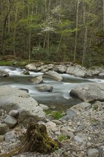 Enlarge photo 29